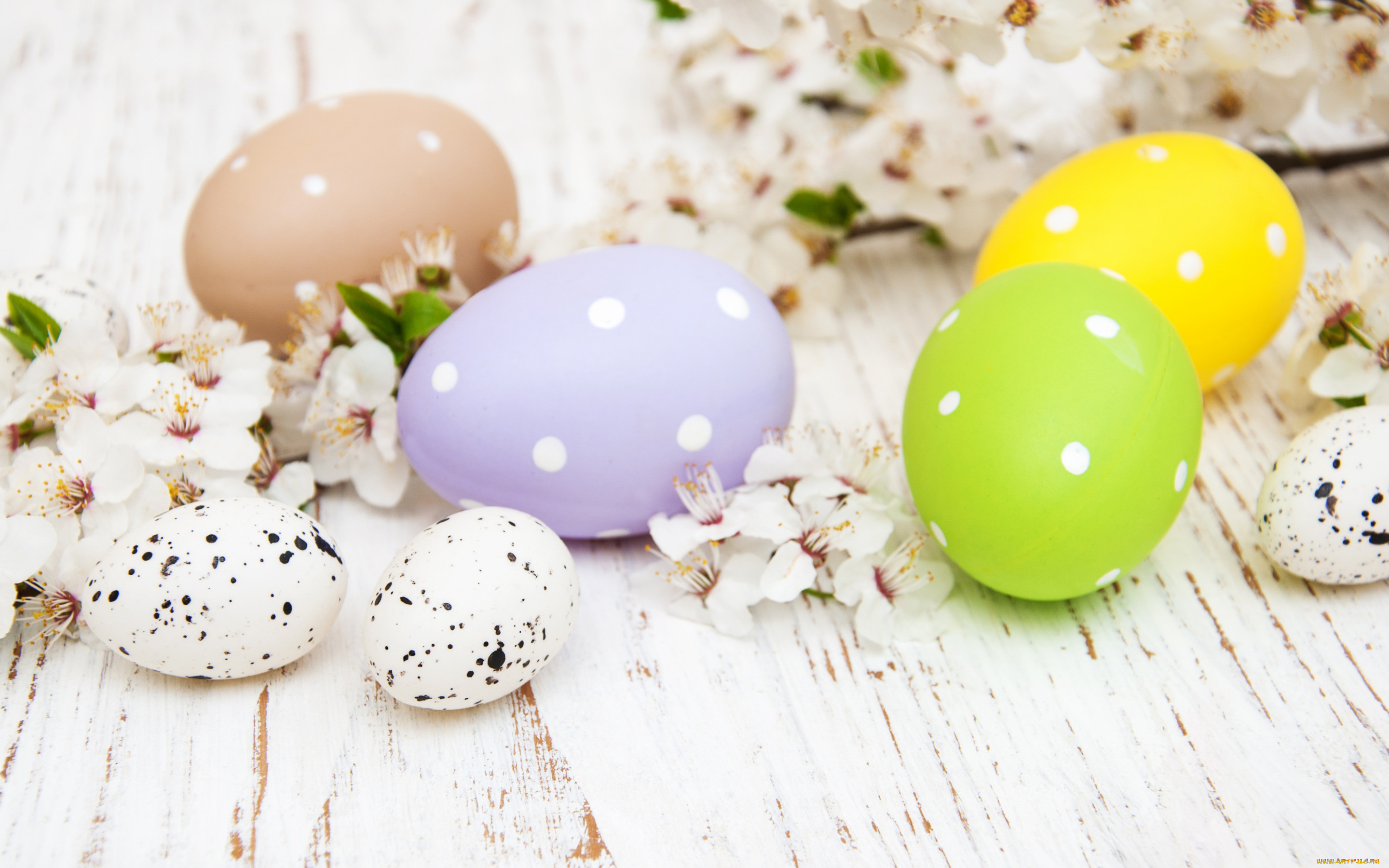 , , , , colorful, happy, wood, blossom, flowers, spring, easter, eggs, decoration